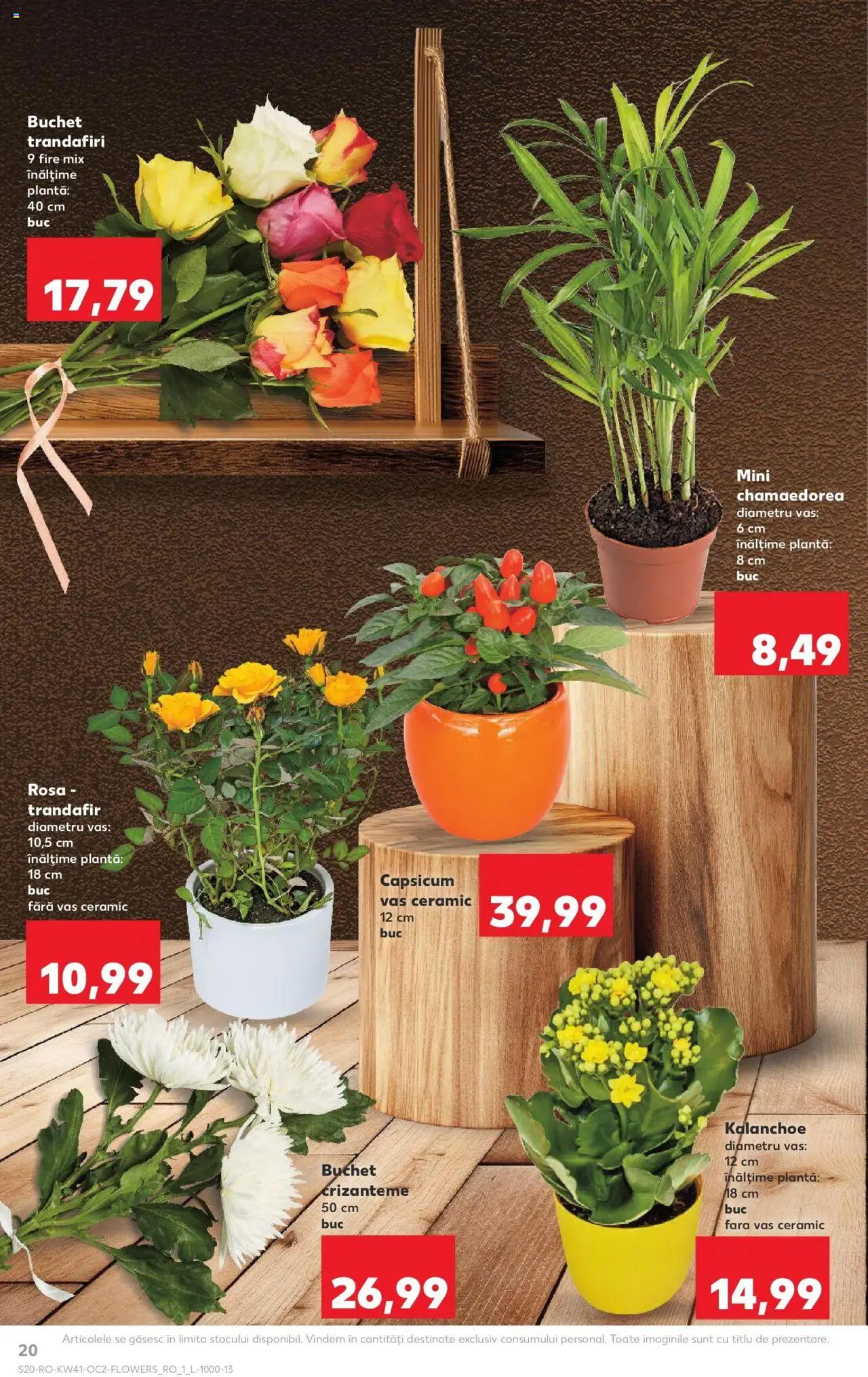 Noul catalog Kaufland – valabil de la 08.10.2025 | Pagină: 20 | Produse: Trandafir
