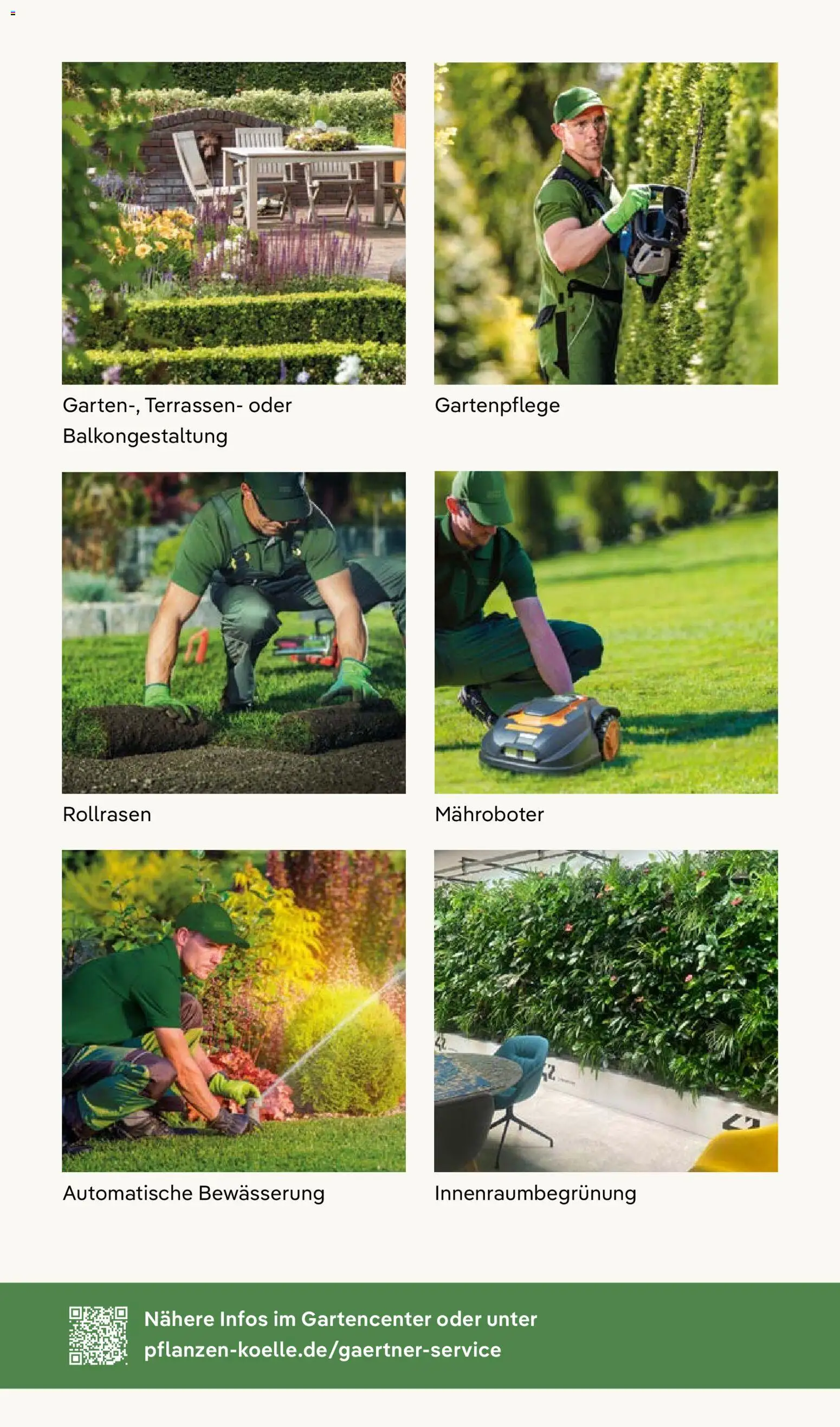 Pflanzen-Kölle Prospekt 	 – gültig ab 01.12.2025 | Seite: 11