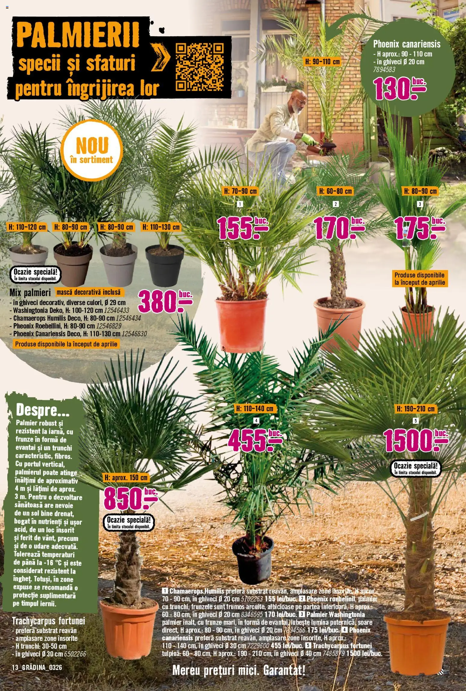 Noul catalog Hornbach – valabil de la 23.03.2026 | Pagină: 13 | Produse: Tavuk suyu, Ghiveci