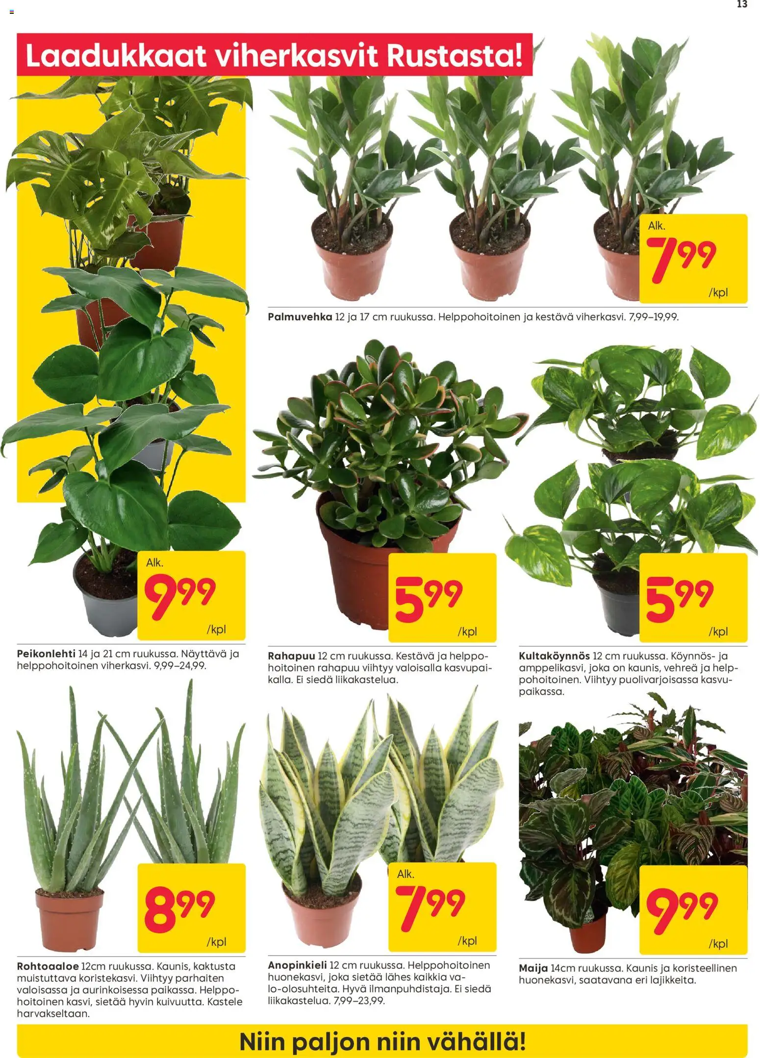 Rusta tarjoukset – voimassa 12.01.2026 alkaen | Sivu: 13