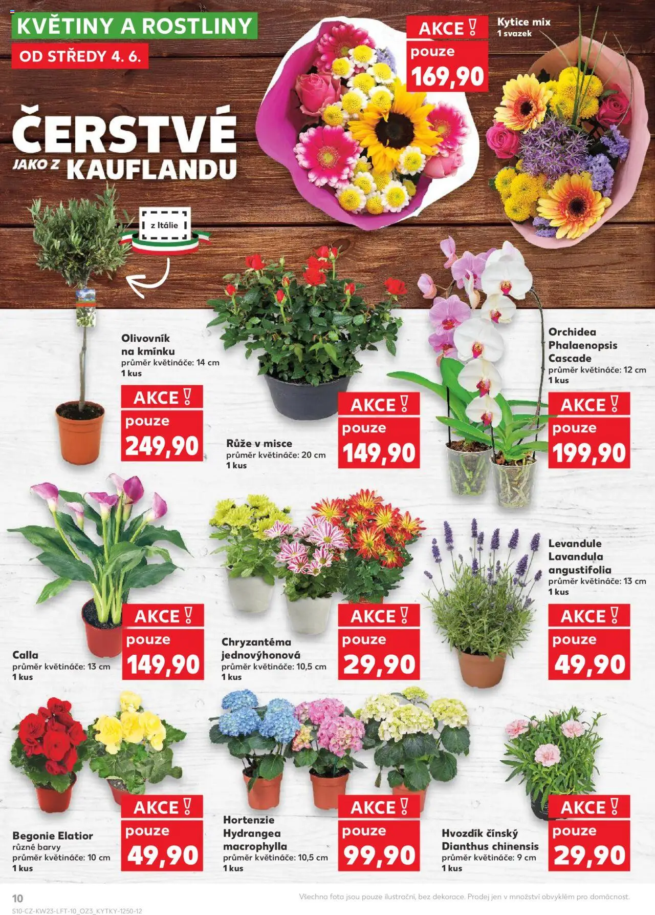 Kaufland leták - Praha 8 od 04.06.2025 | Strana: 10 | Produkty: Květináče, Rostliny, Kytice, Květiny