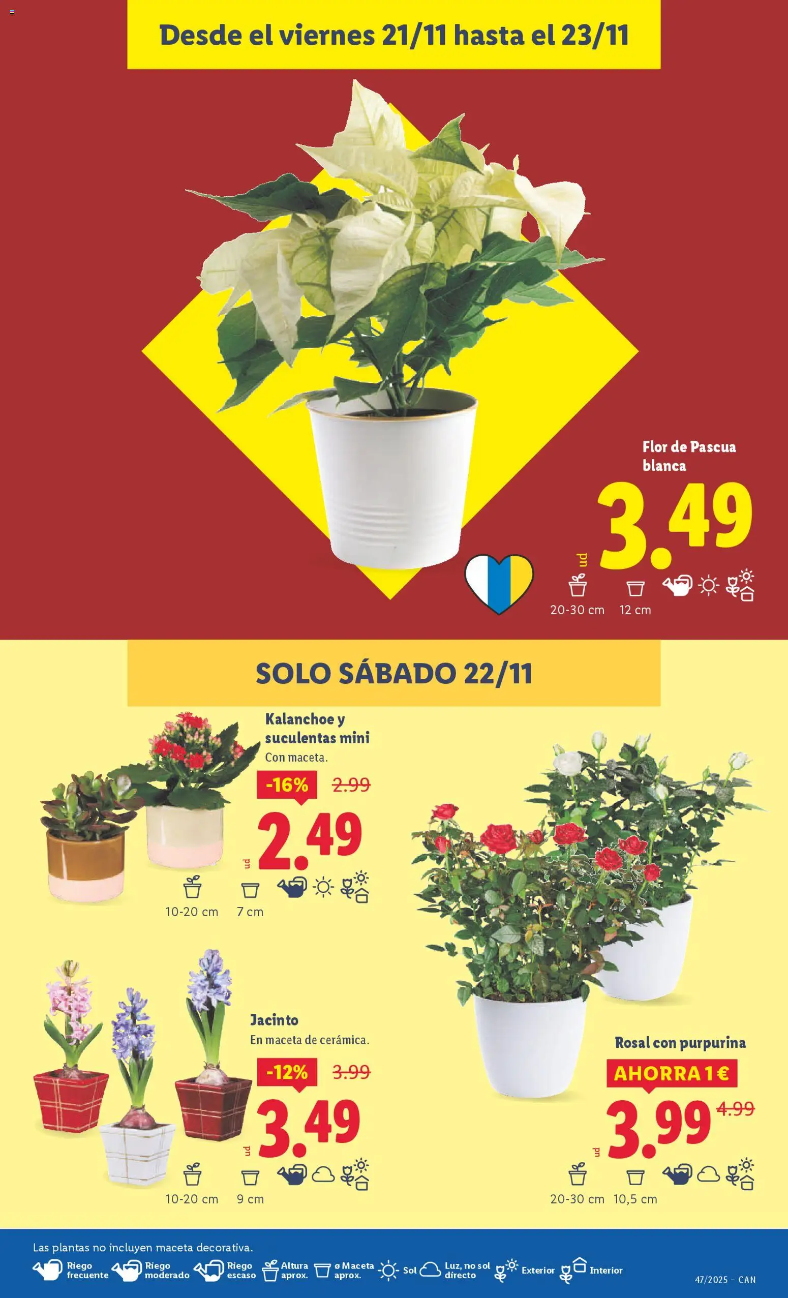 Lidl - Canarias │ válido desde el 17.11.2025 | Página: 47 | Productos: Maceta