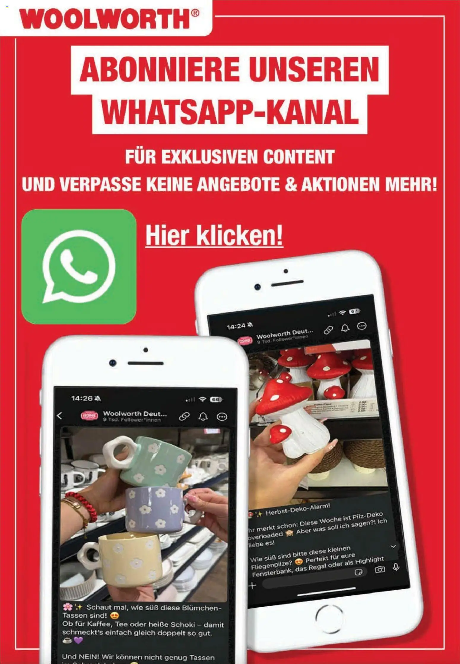 Woolworth Prospekt 	 – gültig ab 17.12.2025 | Seite: 35 | Produkte: Regal, Tee