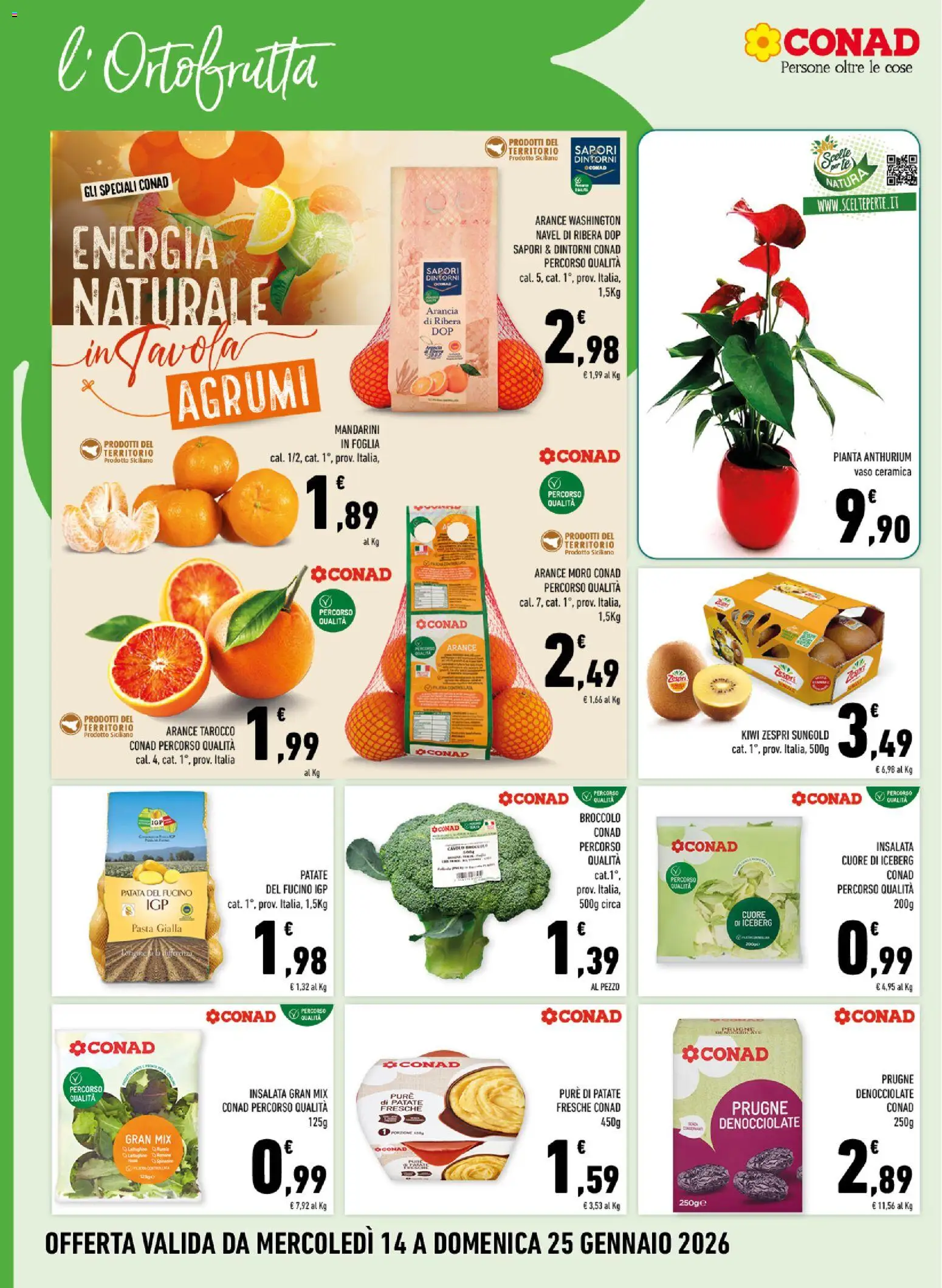 Volantino Conad del 14.01.2026 | Pagina: 4 | Prodotti: Kiwi, Mandarini, Pasta, Arancia