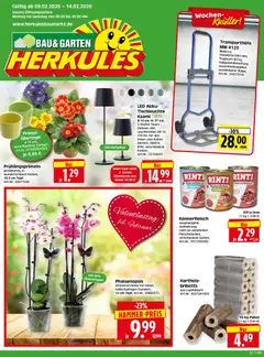 HERKULES Bau & Garten ab 09.02.2026 gültig