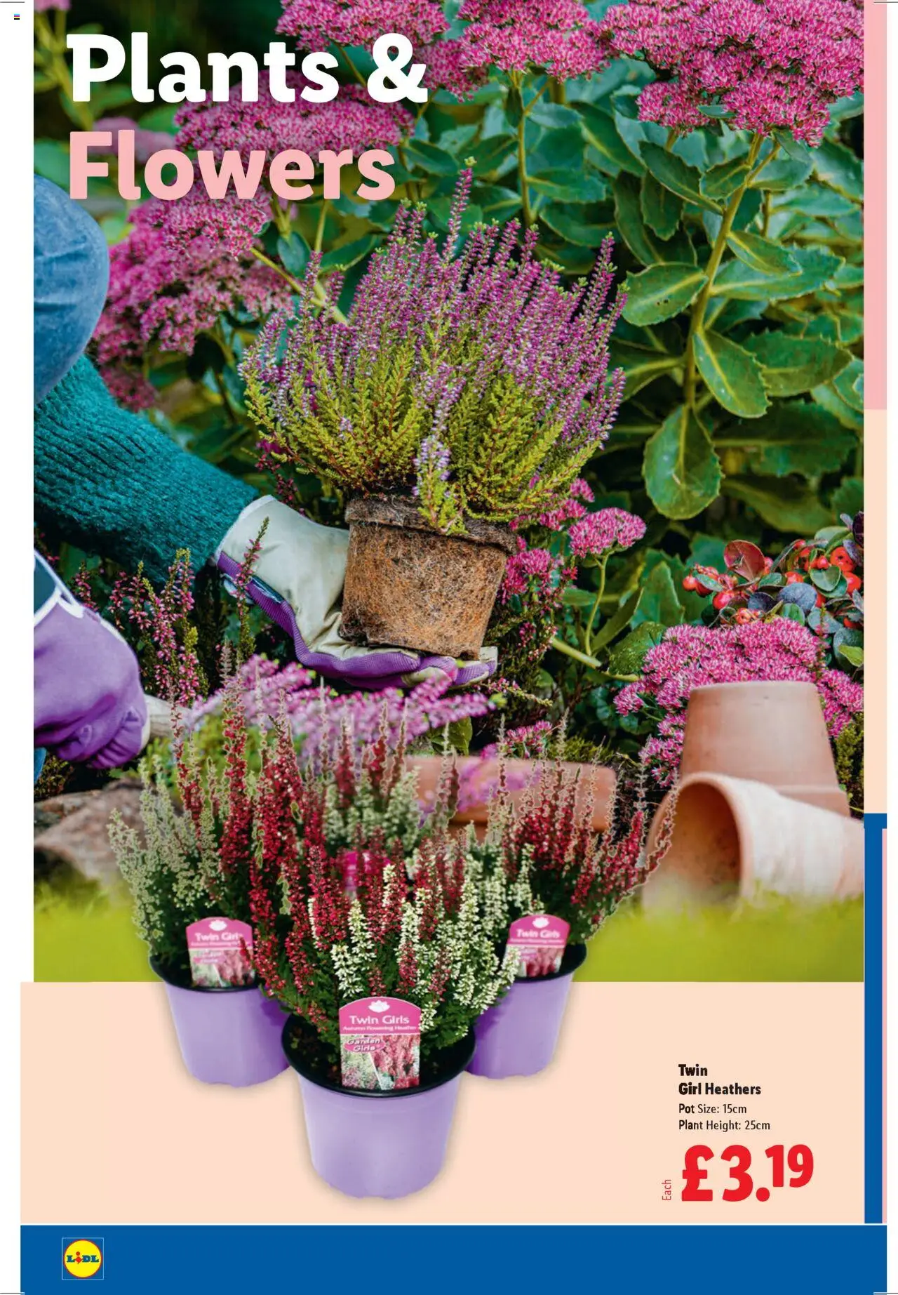 {H1} | Page: 22 | Products: Pot