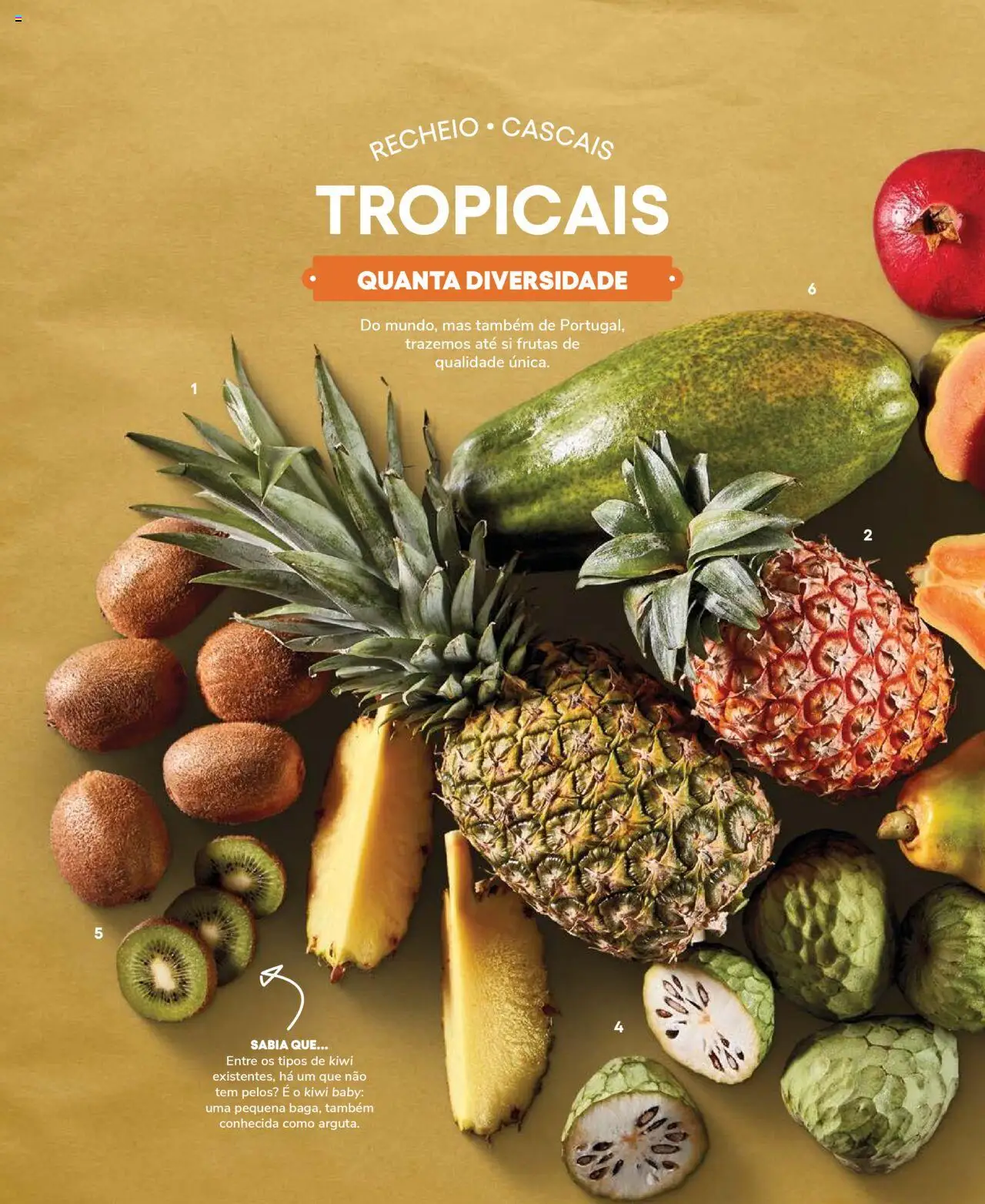Recheio Frutas e Legumes │ válido de 19.09.2024 | Página: 80