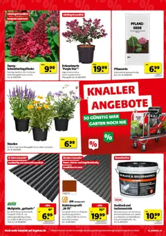 Hagebau Prospekt 	 - gültig ab dem 02.08.2025 | Seite: 4