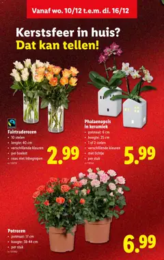 Lidl Folder week 50 - Voorbeeld van een folder van Lidl, geldig van 10.12.2025 | Pagina: 34