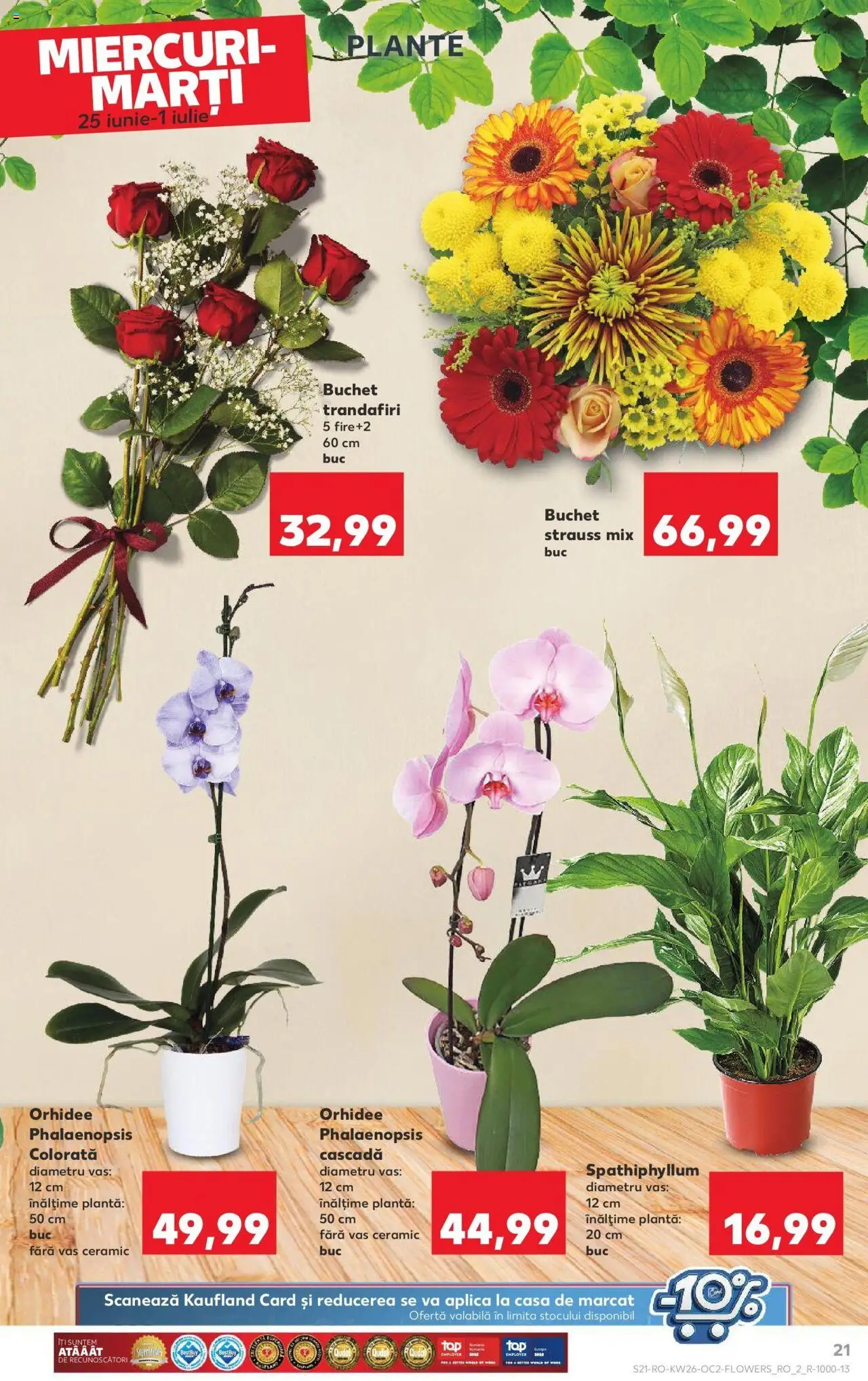 Catalog Kaufland - Bucureşti – valabil de la 25.06.2025 | Pagină: 21 | Produse: Orhidee