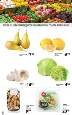 Ofertele Selgros valabile de la 28.11.2025 | Pagină: 6 | Produse: Salată, Cartofi, Legume, Usturoi
