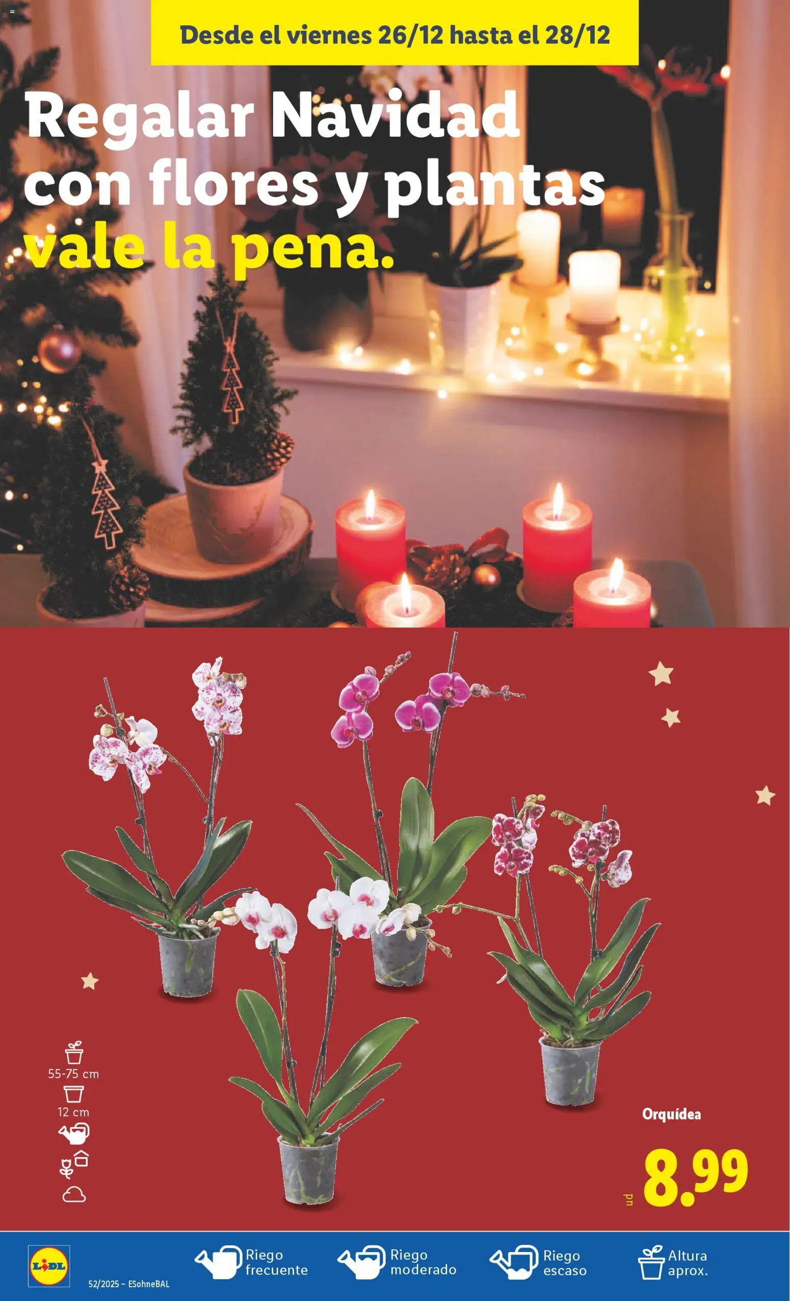 Lidl folleto │ válido desde el 22.12.2025 | Página: 52