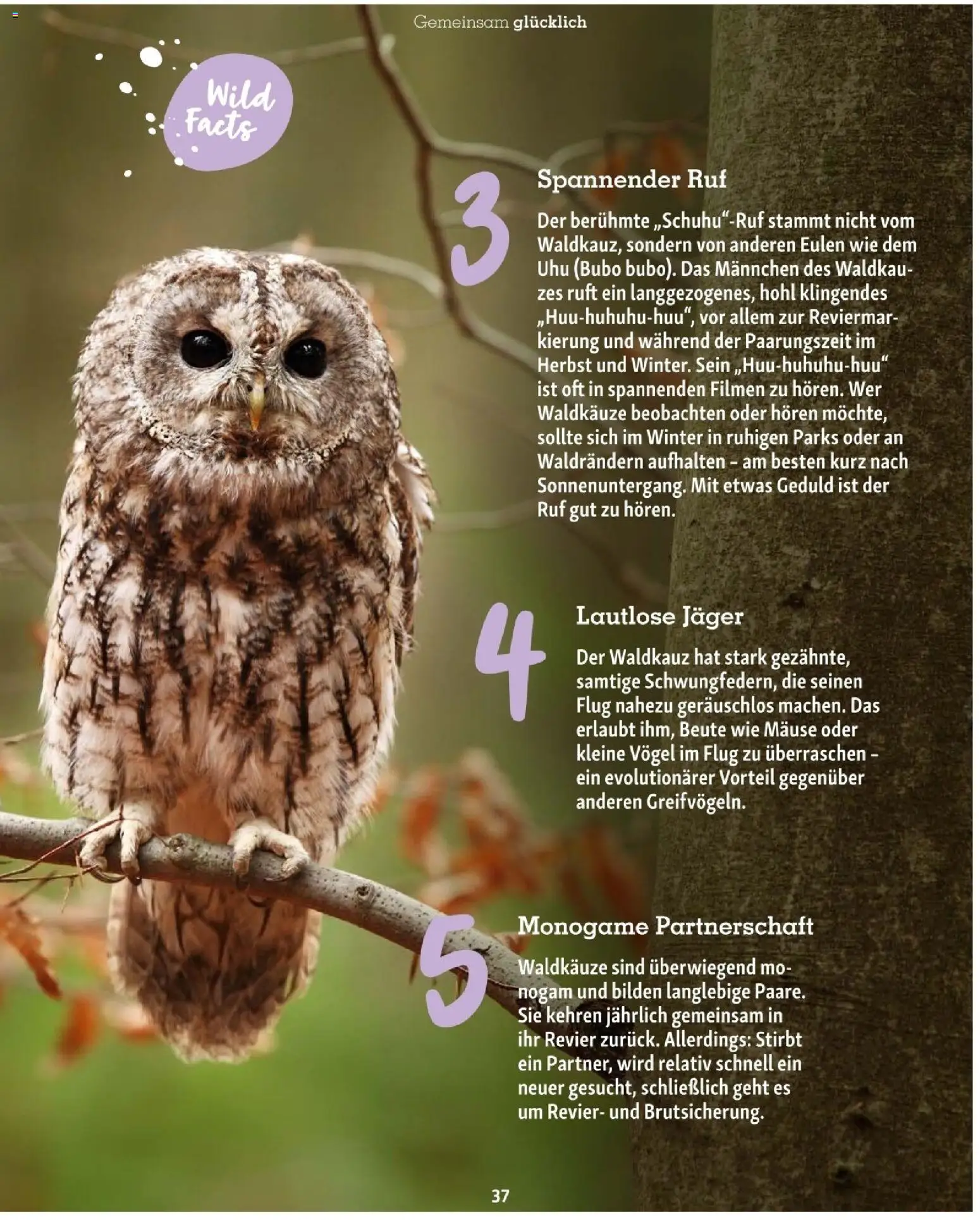 Fressnapf Friends 06/25 gültig ab 01.11.2025 | Seite: 37