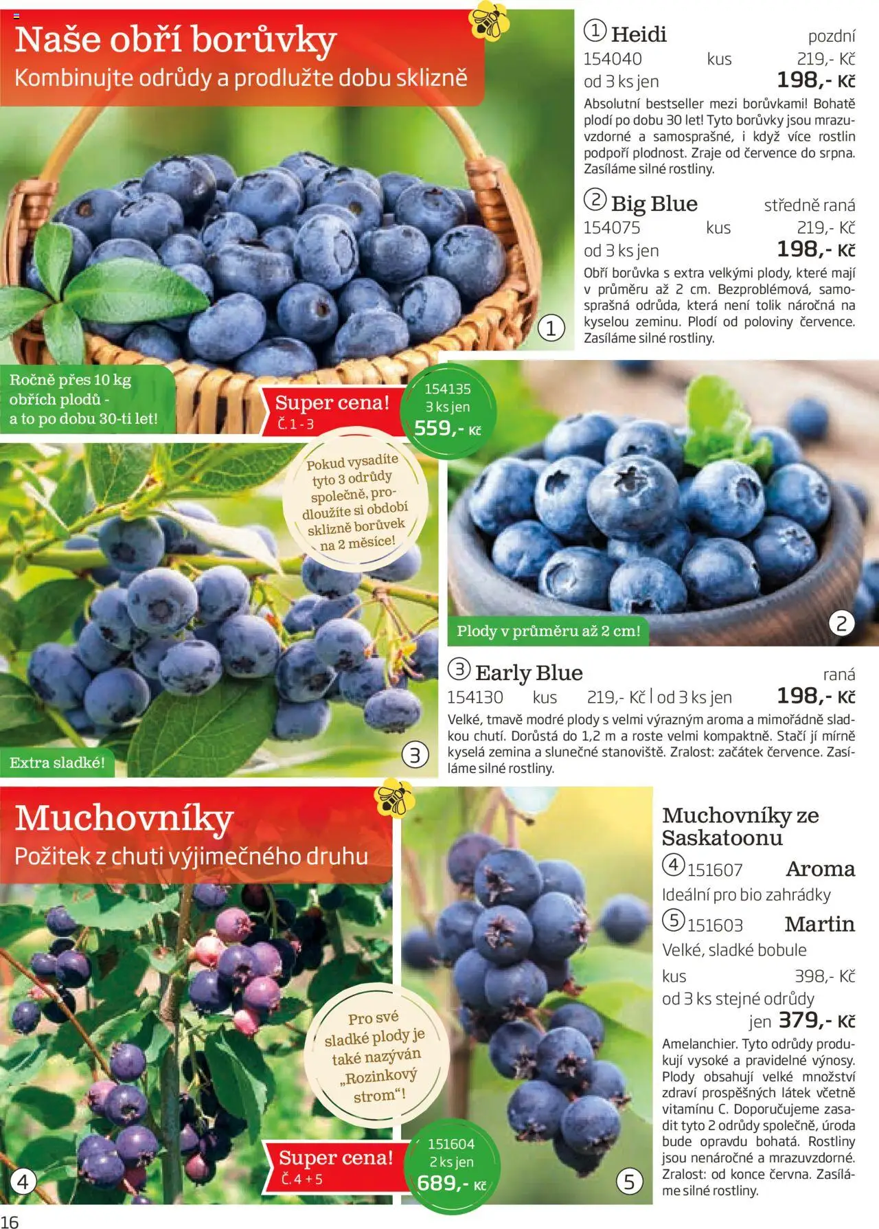 Starkl katalog podzim 2025 od 01.08.2025 | Strana: 16 | Produkty: Borůvky, Rostliny, Zemina