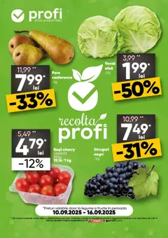 Ofertele Profi valabile de la 10.09.2025