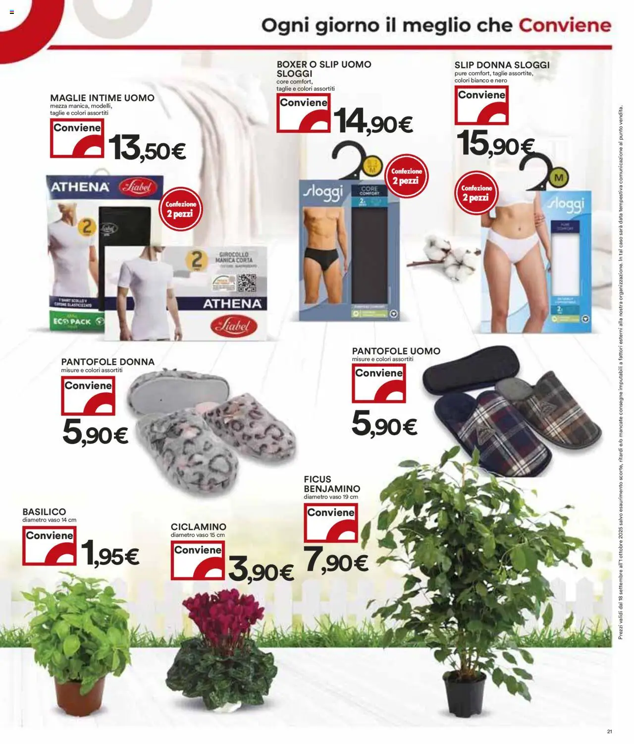 Volantino COOP del 18.09.2025 | Pagina: 21 | Prodotti: Boxer, Pantofole, Data, Basilico