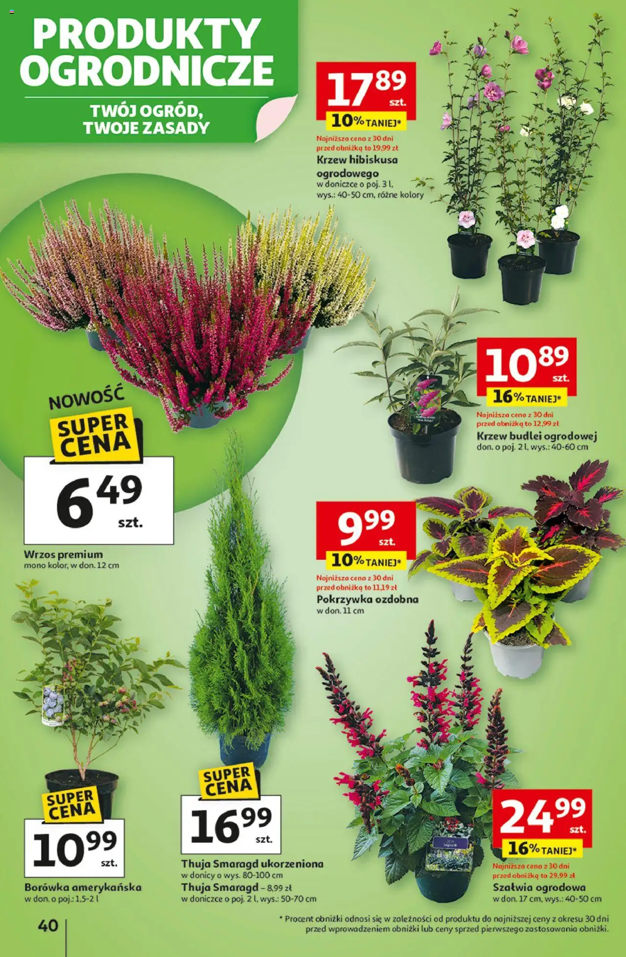 Auchan Gazetka - Odlotowe ceny na start szkoły Hipermarket od 28.08.2025 | Strona: 40 | Produkty: Borówka amerykańska, Wrzos
