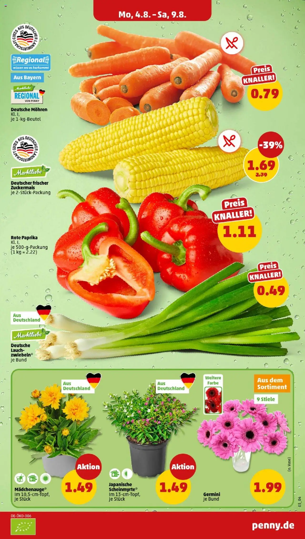 Penny - Bayern - gültig ab dem 04.08.2025 | Seite: 3 | Produkte: Vase, Mohren, Zwiebeln, Paprika