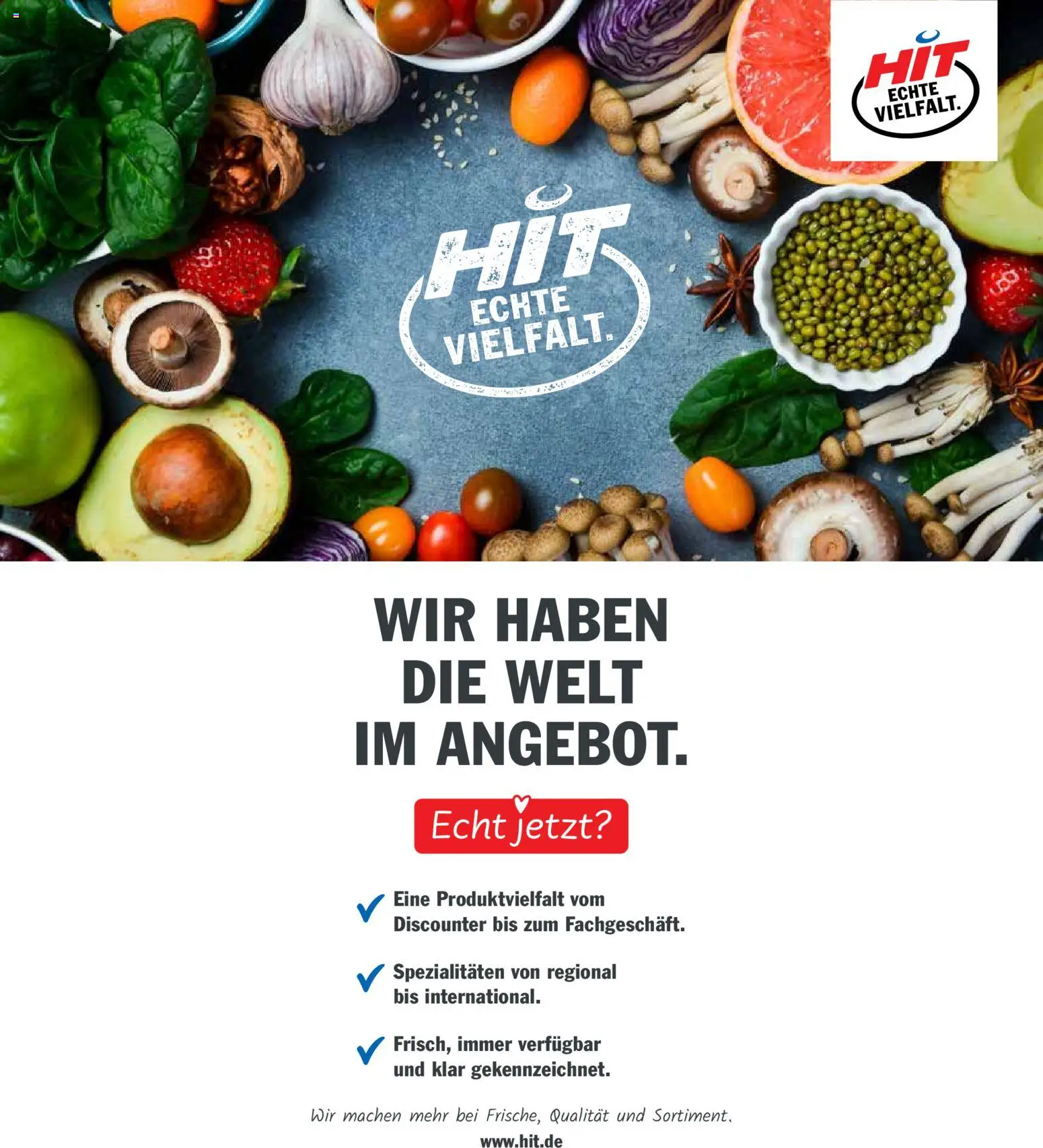 HIT - Sachsen – gültig ab 27.10.2025 | Seite: 17