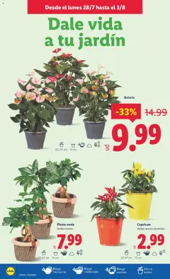 Lidl catálogo MAD │ válido desde el 28.07.2025 | Página: 26