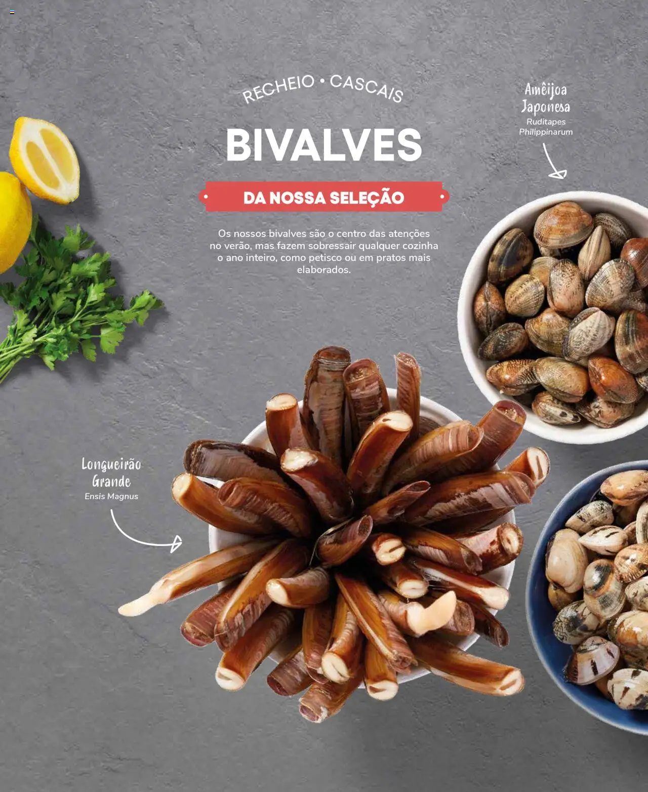 Recheio Peixaria │ válido de 19.09.2024 | Página: 32