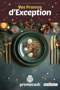 Promocash - Prévisualisation de Promocash - Brochure Vos Promos d'Exception valide à partir de 01.12.2025