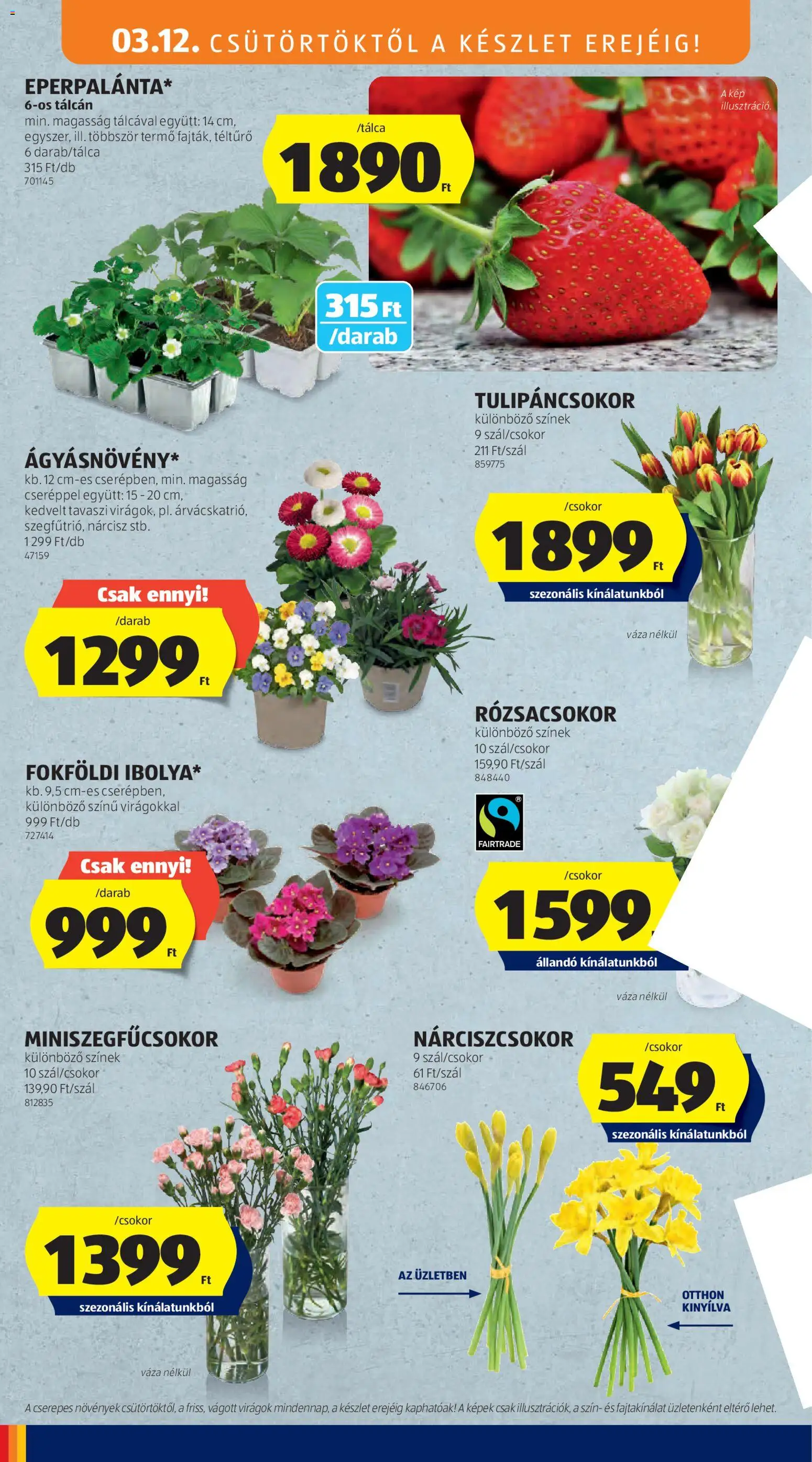 Aldi akciós ujság - amely érvényes a következő dátumtól: 12.03.2026 | Oldal: 48 | Termékek: Virágok, Váza