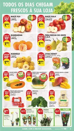 Pré-visualização MAMÃO AVIÃO, A granel válido de 06.01.2026 | Página: 5