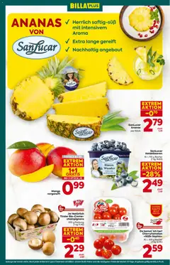 Billa Plus Flugblatt ab 12.02.2026 gültig | Seite: 10