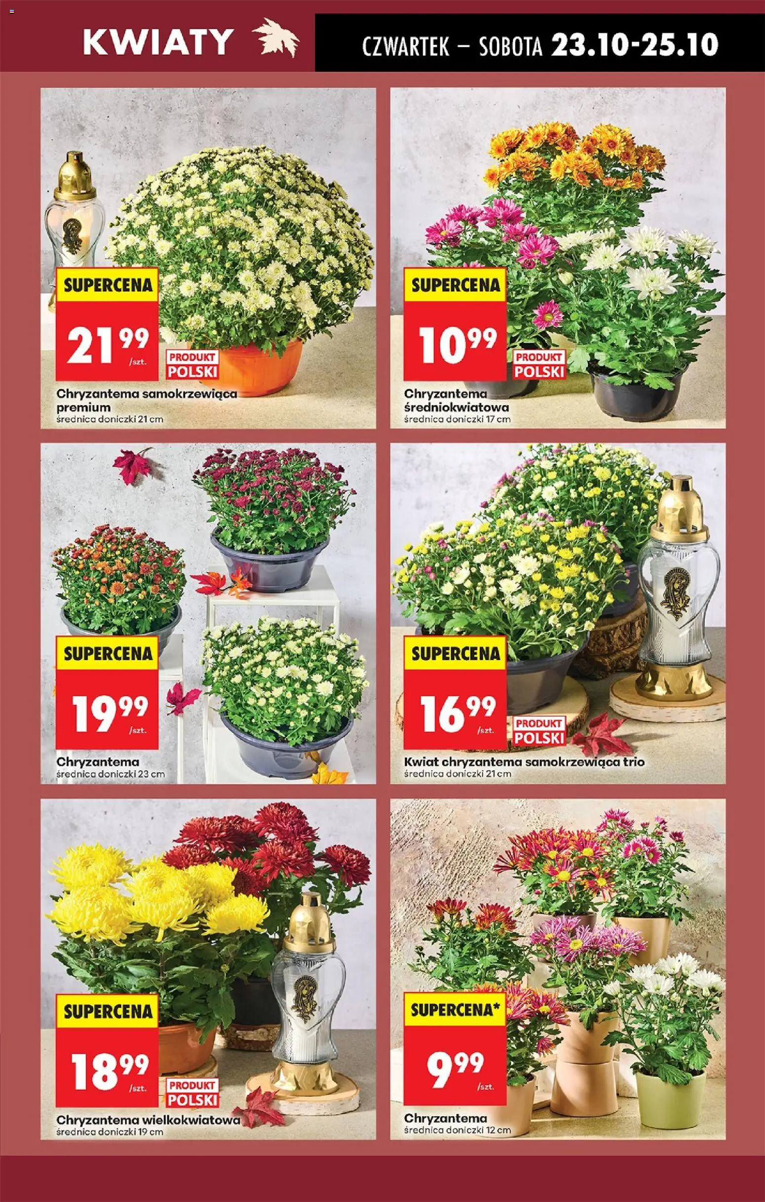 Biedronka gazetka - Oferta w tym tygodniu od 23.10.2025 | Strona: 21 | Produkty: Doniczki, Kwiaty