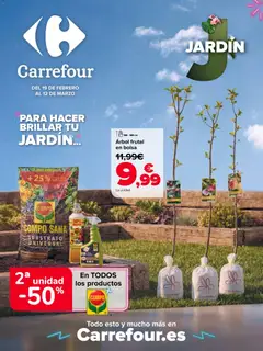 Vista previa Carrefour Jardin válido desde el 19.02.2026