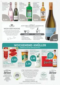 Edeka Struve Prospekt 	 – gültig ab 15.09.2025 | Seite: 16 | Produkte: Fisch, Brut dargent, Wein, Kuchen