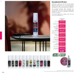 Texam - Prévisualisation de Texam catalogue 2026 valide à partir de 02.02.2026 | Page: 38 | Produits: Thé