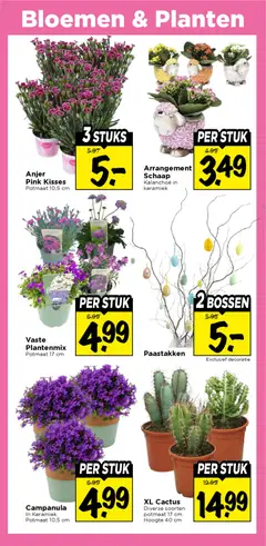Vomar folder - Voorbeeld van een folder van Vomar, geldig van 08.03.2026 | Pagina: 32 | Producten: Bloemen, Keramiek