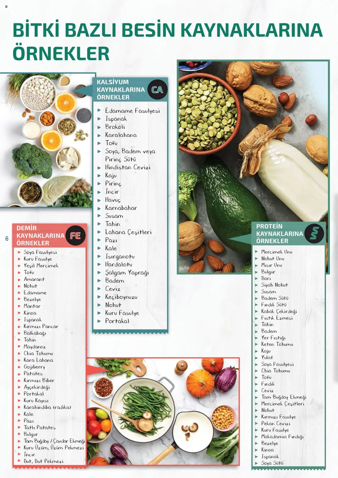 Metro Bitki Bazlı ve Vegan - 23.10.2024 tarihinden itibaren geçerlidir | Sayfa: 6 | Ürünler: Pazi, Radika, Karnabahar, Mantar