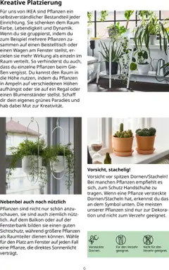 Ikea Pflanzen Broschüre ab 30.09.2025 gültig | Seite: 6 | Produkte: Beistelltisch, Raumteiler, Regal, Handschuhe
