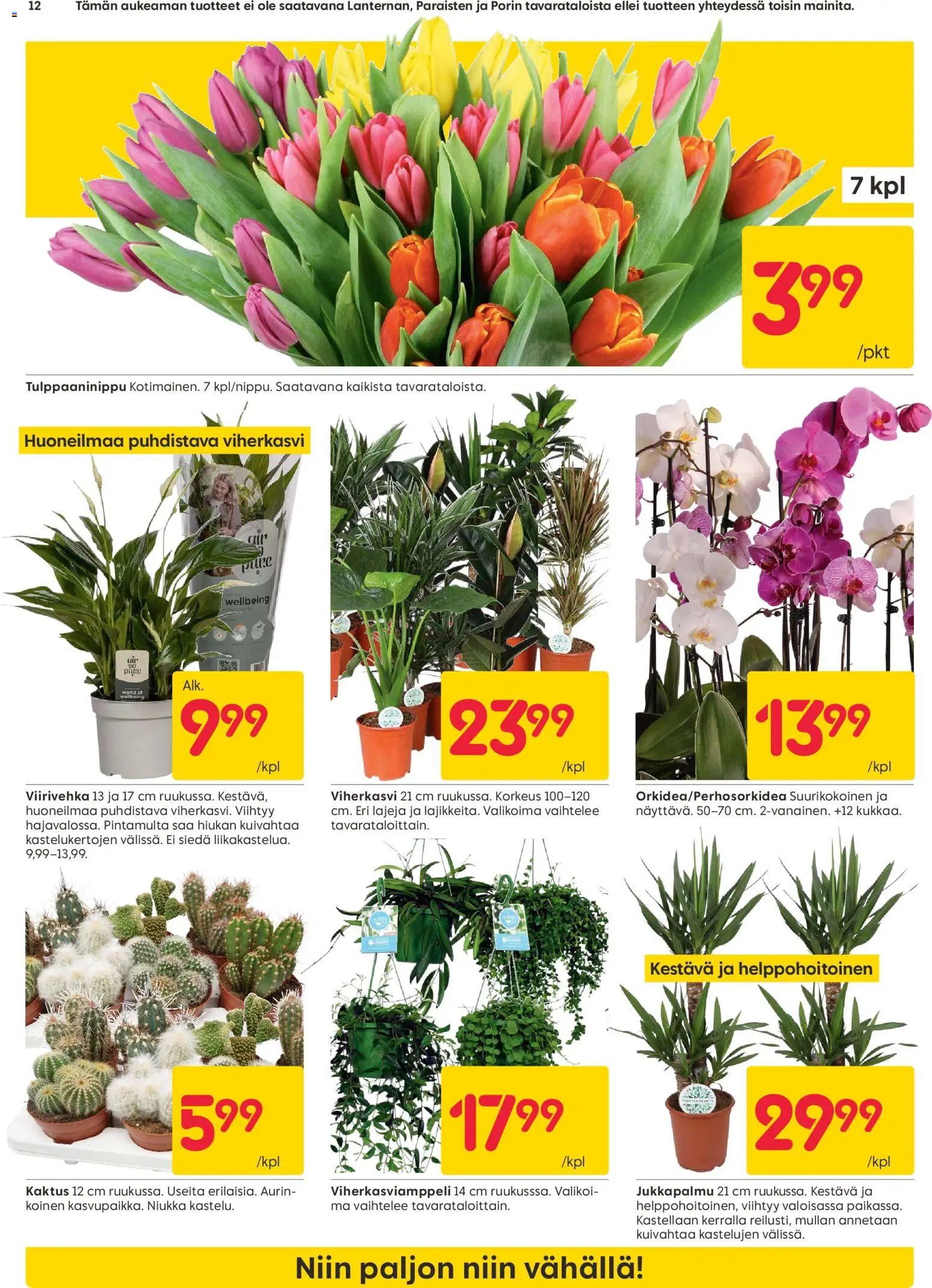 Rusta tarjoukset – voimassa 12.01.2026 alkaen | Sivu: 12