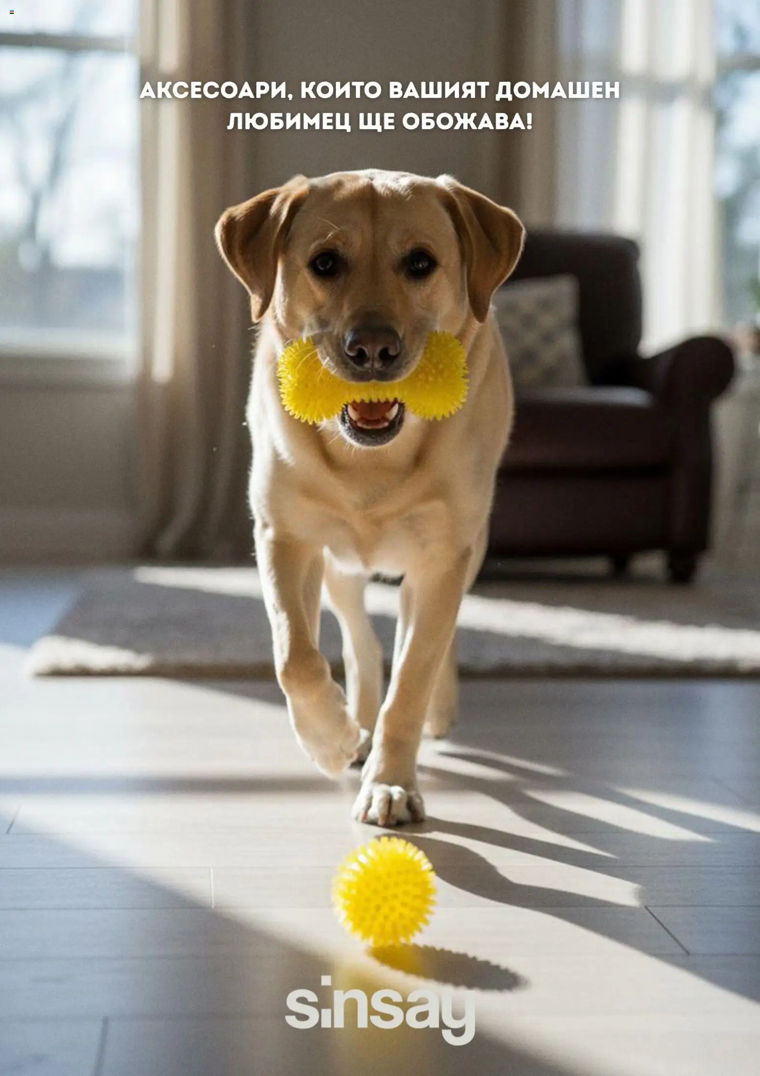 {H1} | Страница: 1