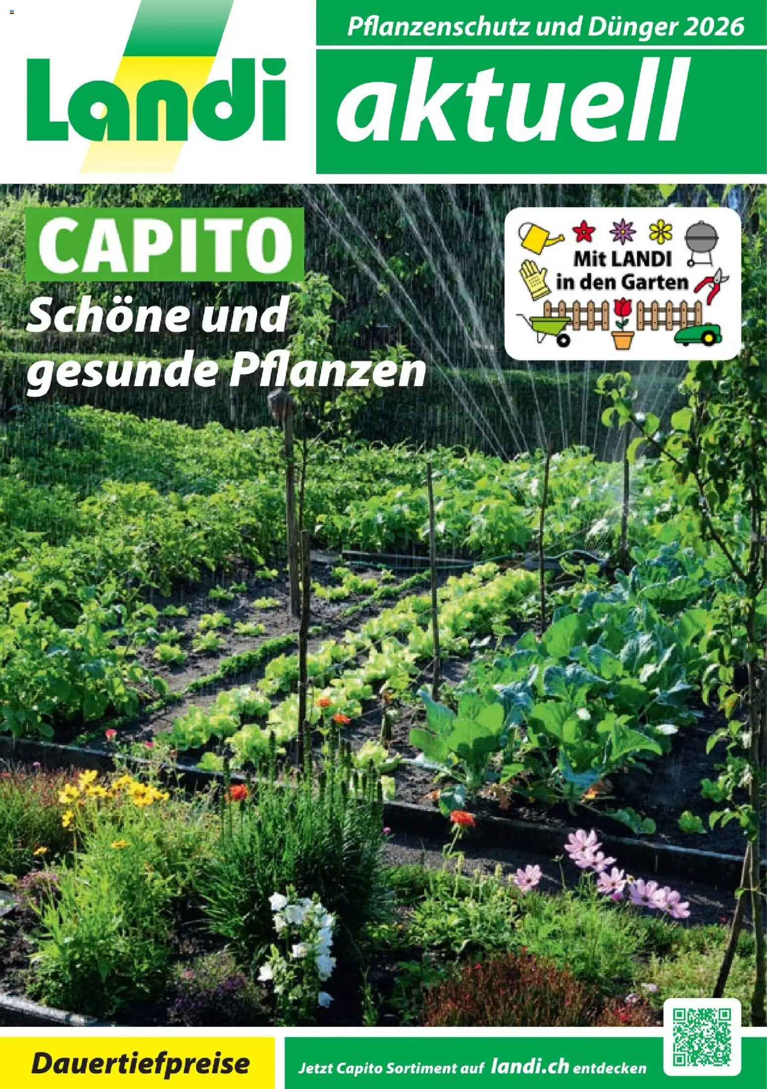 Landi Aktionen Capito – gültig ab 28.01.2026 | Seite: 1