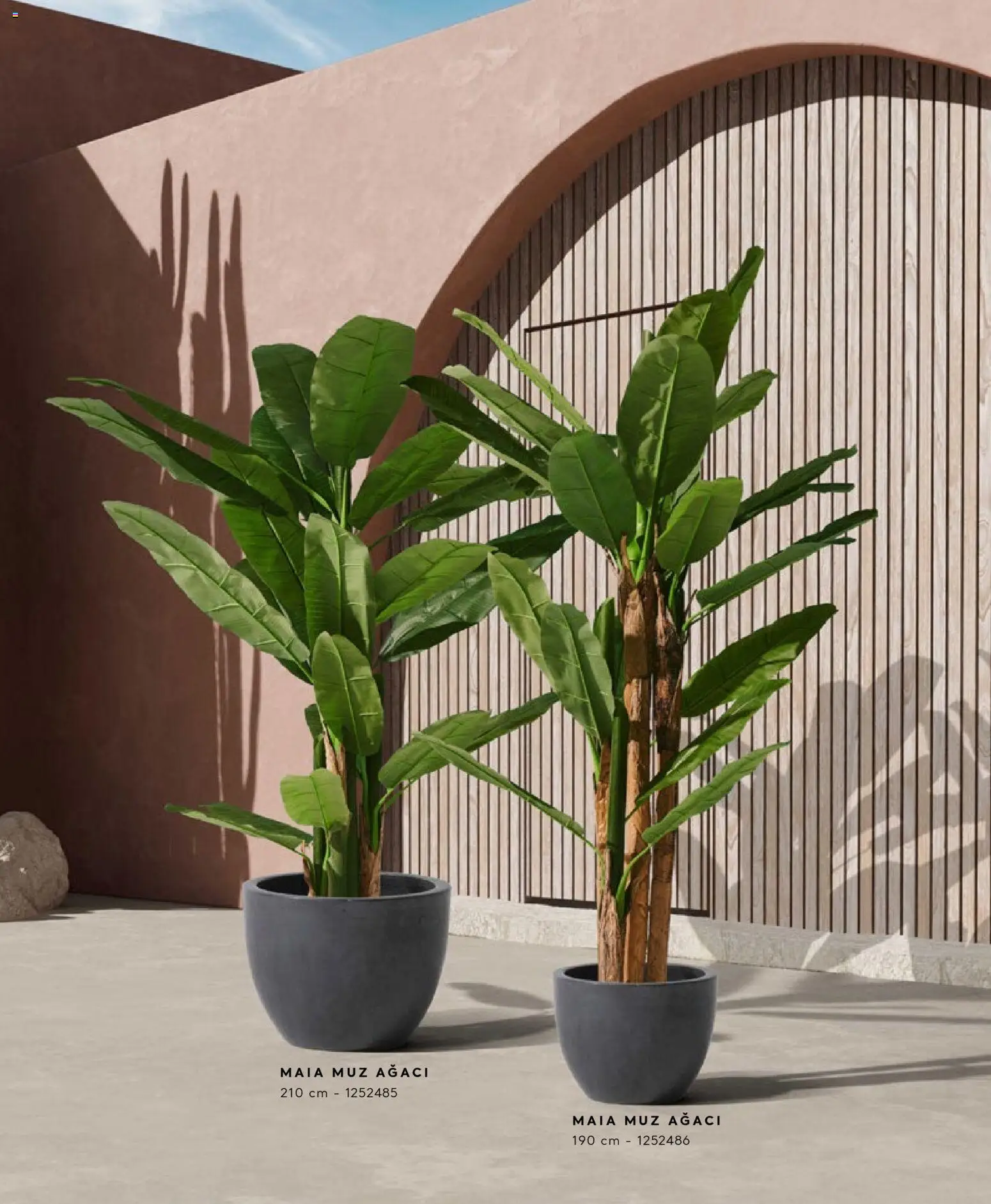 Mudo - Katalog  Ağaç 2026 - 01.01.2026 tarihinden itibaren geçerlidir | Sayfa: 14 | Ürünler: Muz