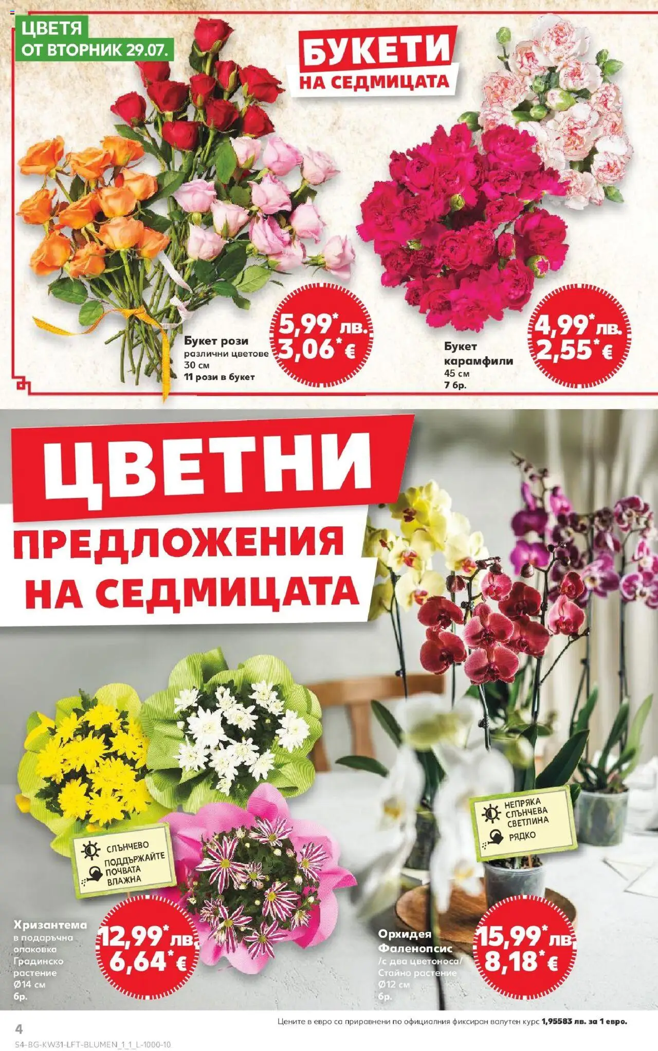  | Страница: 4 | Продукти: Орхидея, Хризантема