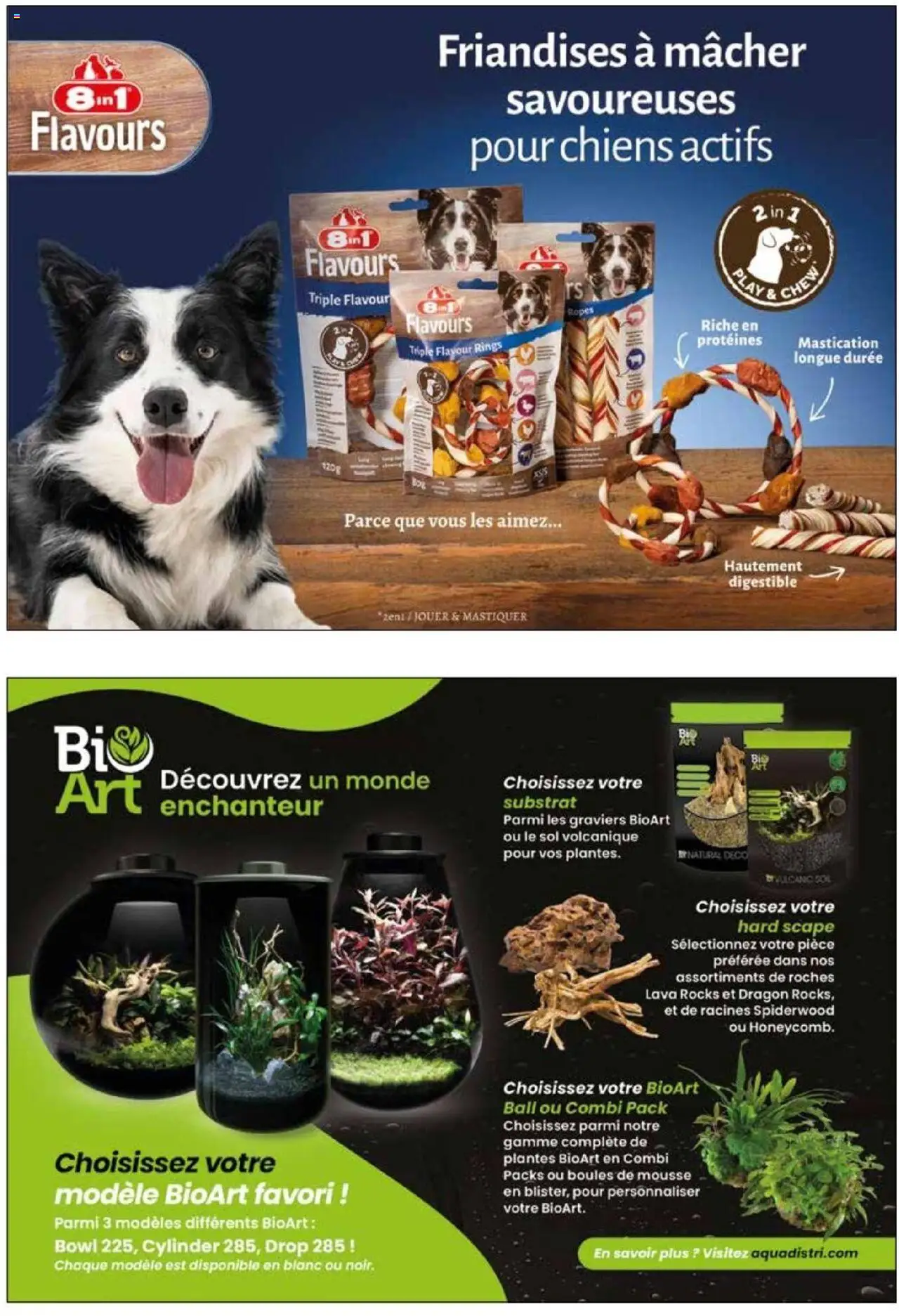 {H1} | Page: 63 | Produits: Plantes, Mousse