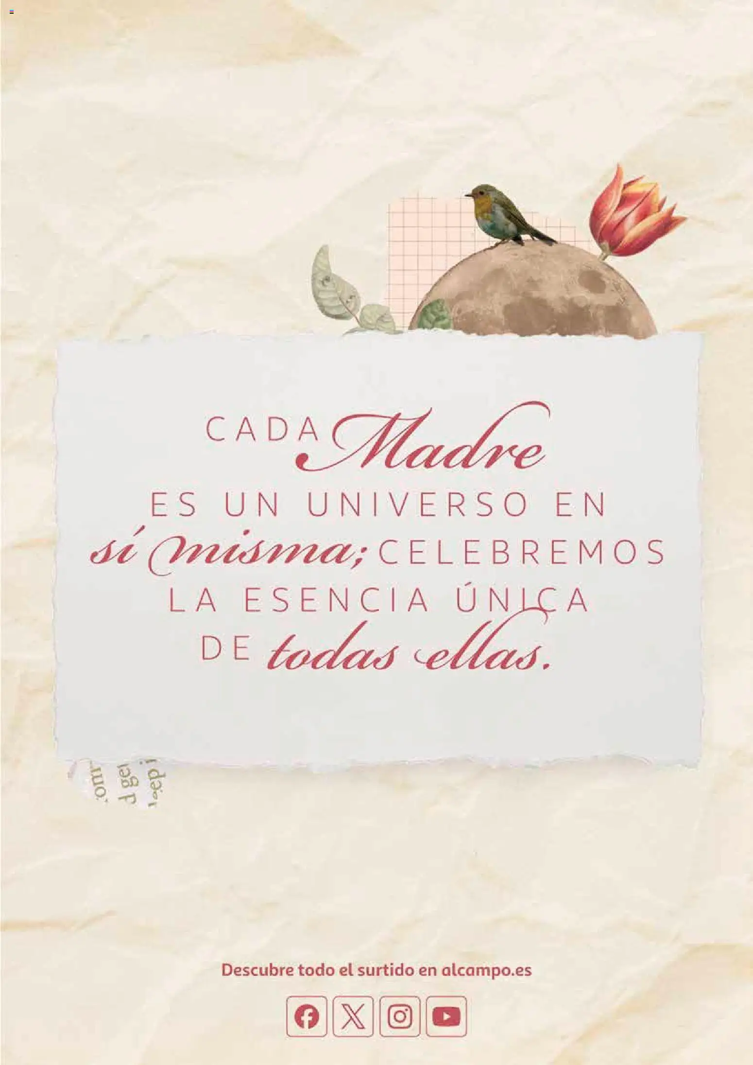 Alcampo - dia de la madre 2026 Canarias │ válido desde el 21.04.2026 | Página: 27