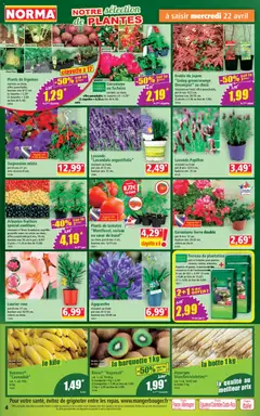 Norma - Prévisualisation de Norma catalogue valide à partir de 22.04.2026 | Page: 4