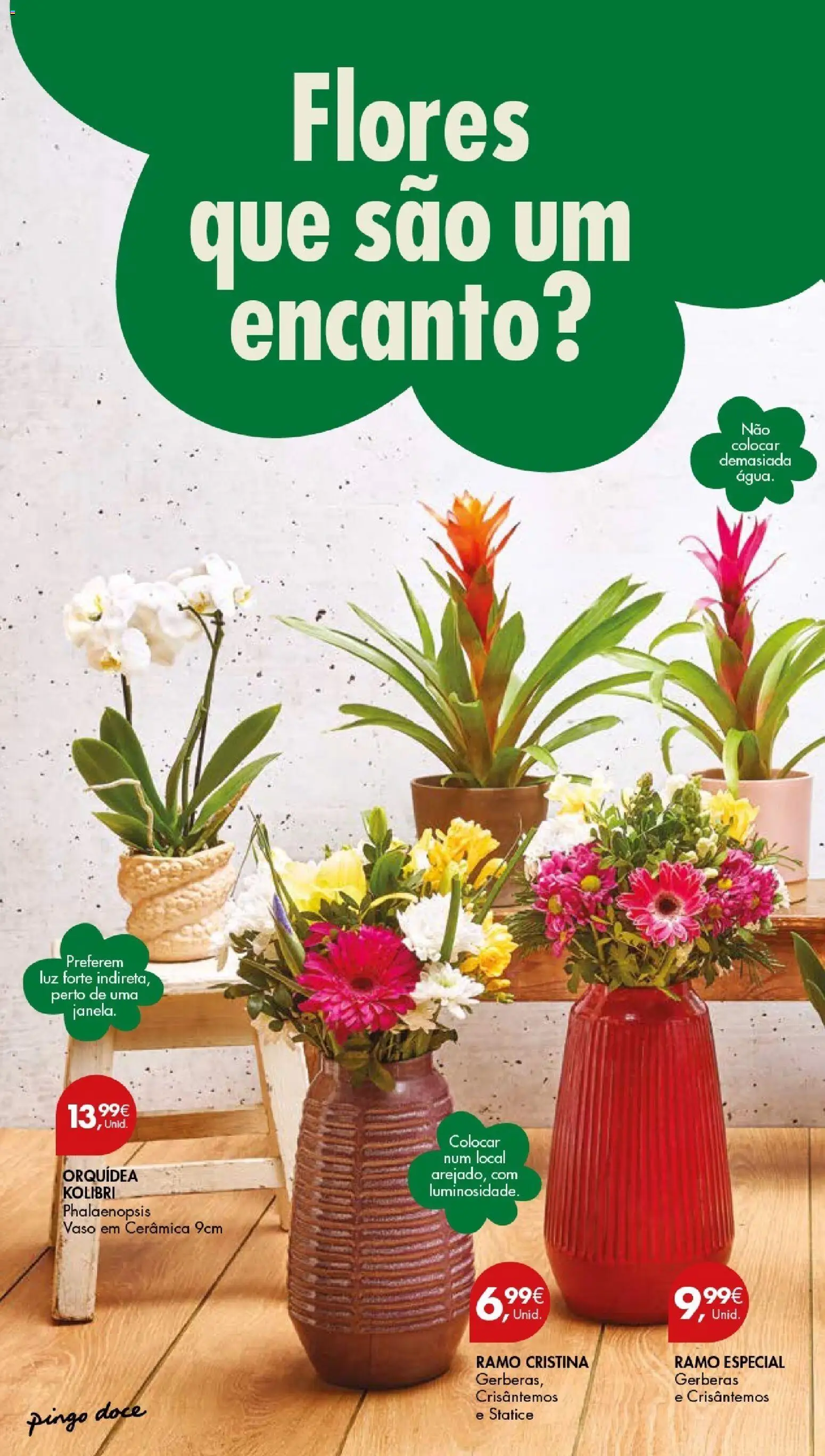 Pingo Doce Poupe este Fim de Semana │ válido de 13.03.2026 | Página: 4 | Produtos: Flores, Vaso