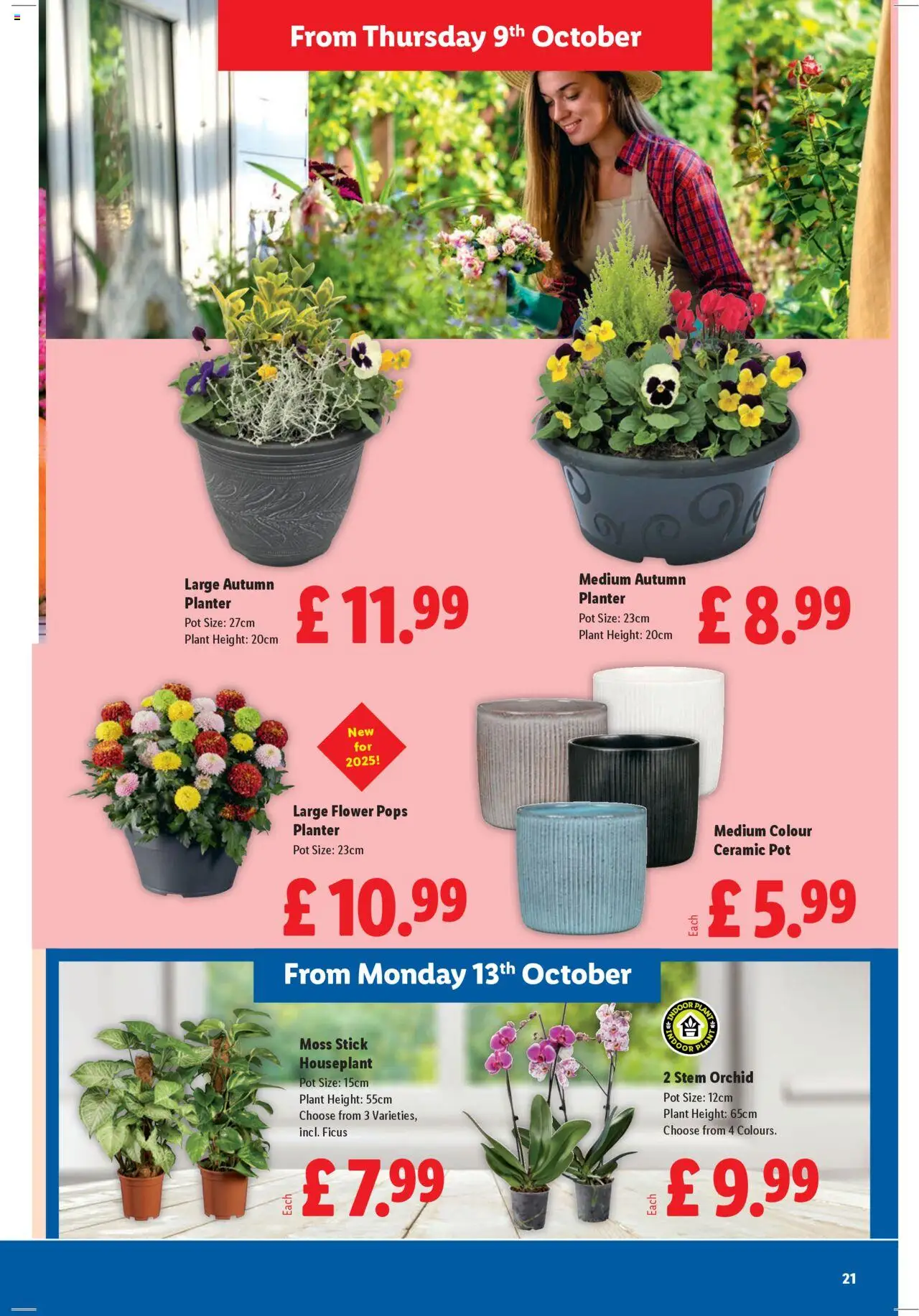 {H1} | Page: 21 | Products: Pot, Planter, Door, Ceramic pot