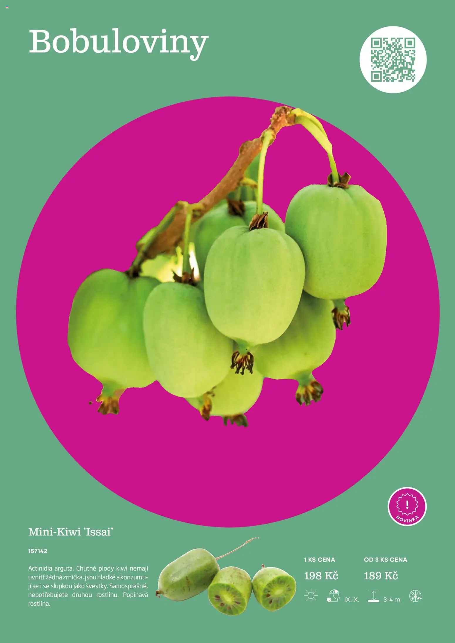 Starkl katalog od 25.02.2026 | Strana: 127 | Produkty: Kiwi