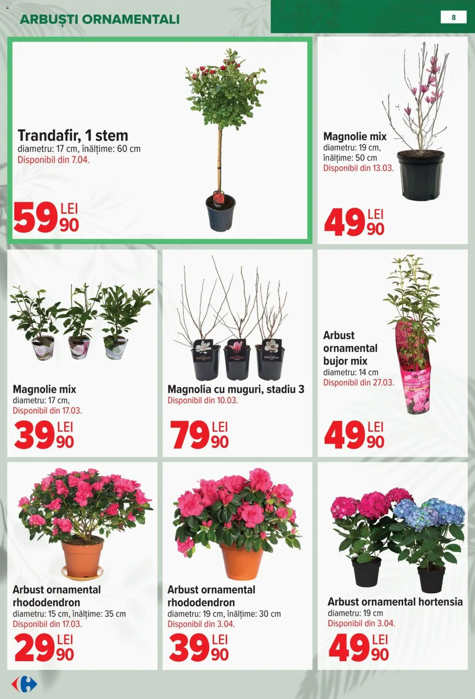 Noul catalog Carrefour – valabil de la 11.02.2026 | Pagină: 8