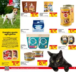 Volantino Despar del 28.07.2025 | Pagina: 21 | Prodotti: Paté, Manzo, Vitello
