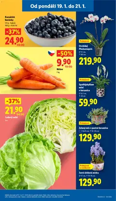 Náhled letáku Ledový salát, kus od 19.01.2026 | Strana: 11